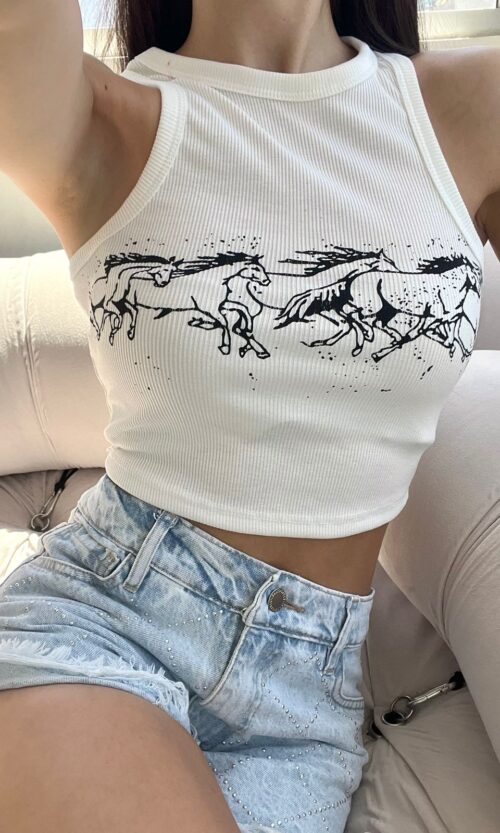 Musculosa Horses