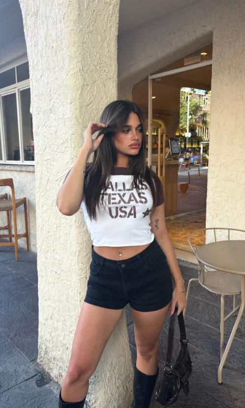 Paisanita Dallas Texas Usa