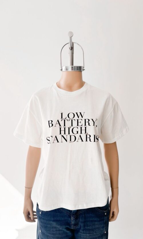 Remera Jersey Low Battery High Standars